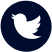 twitter icon
